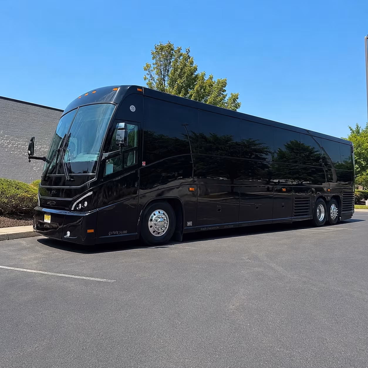 new rochelle reliable new rochelle school field trip charter bus rentals